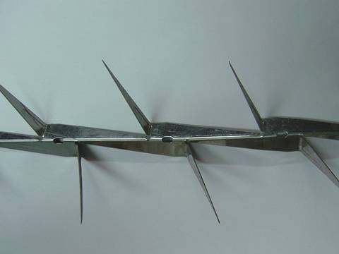 A row of small size wall spikes made of stainless steel on the floor.