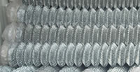 electro galvanized chain link fence rolls