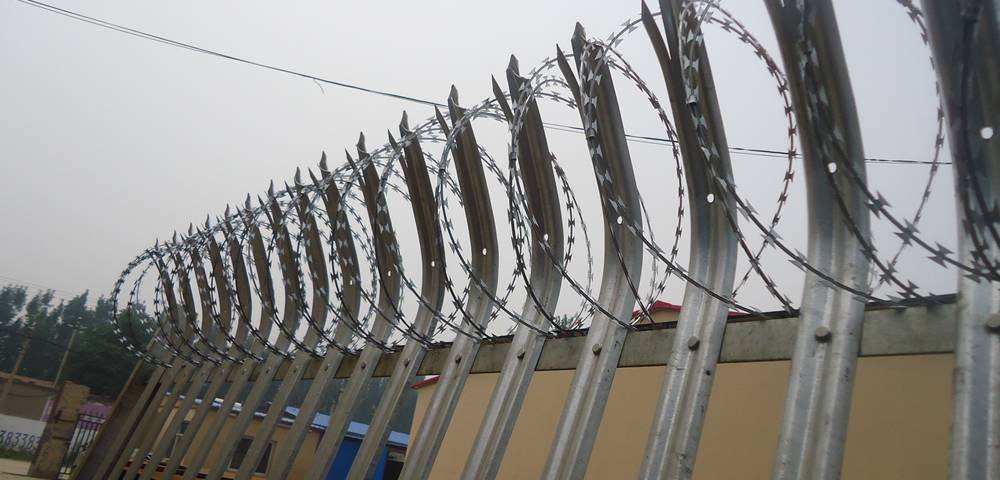 Palisade fence panel with razor wire coils topping.