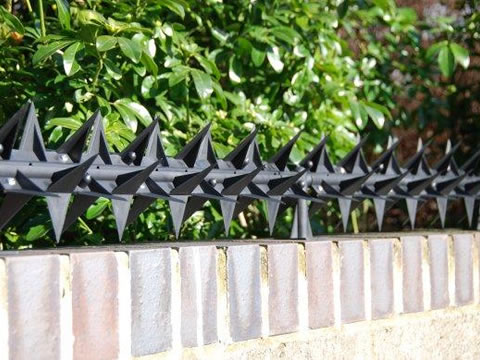 Rotary type plastic wall spikes are installed at the top of wall.
