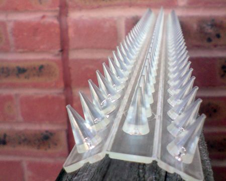 Half-transparent plastic wall spikes on the wall.