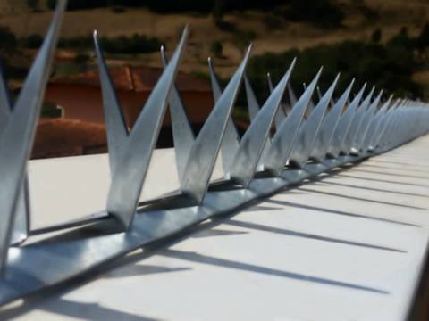 Wall spikes are installed at the top of wall.